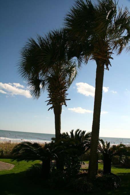 *Top Notch Family Space*Pool*Steps To The Sand*Huge Master*Wt0 Myrtle Beach Exteriér fotografie